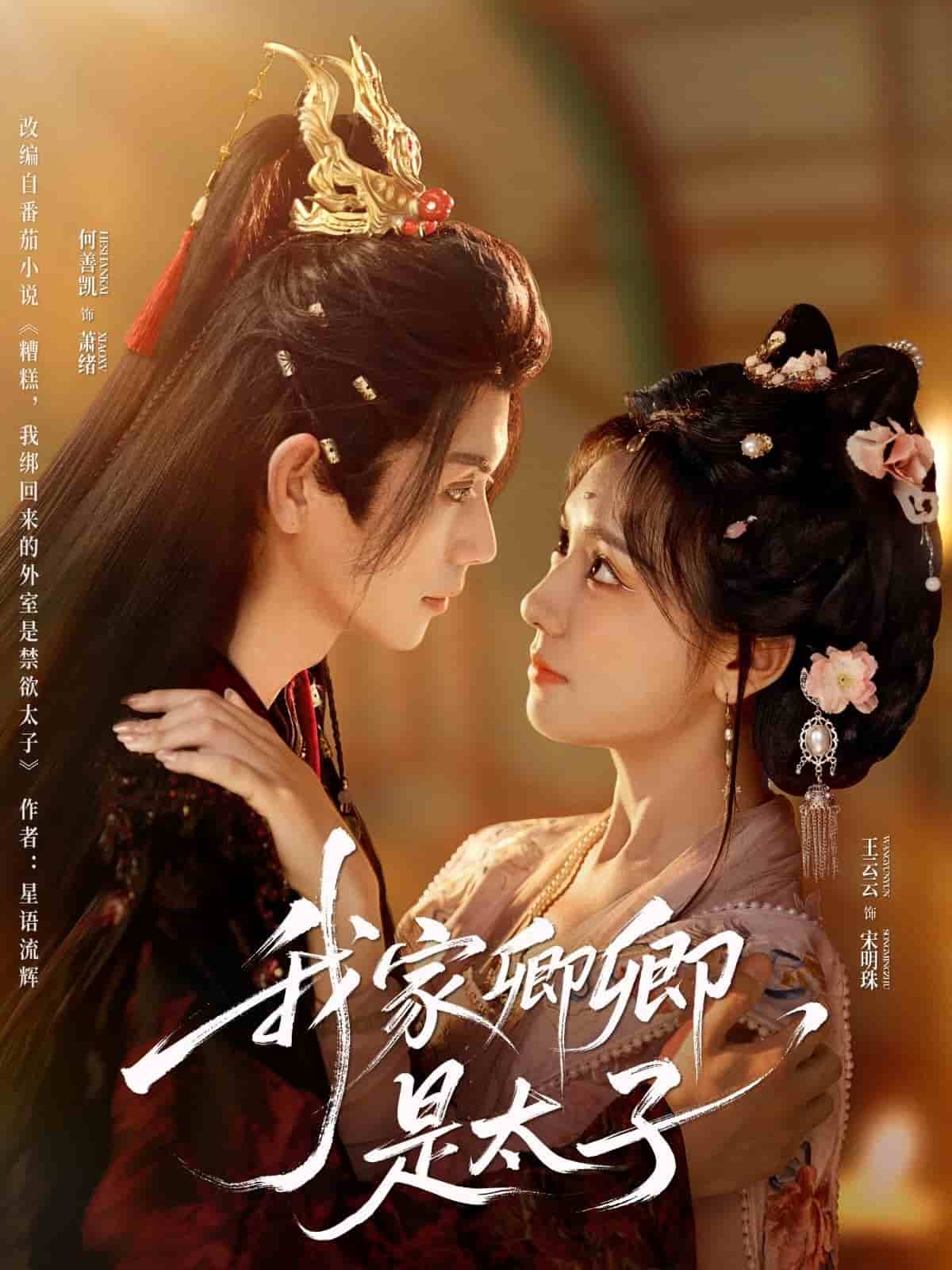 《我家卿卿是太子》完整版在线观看