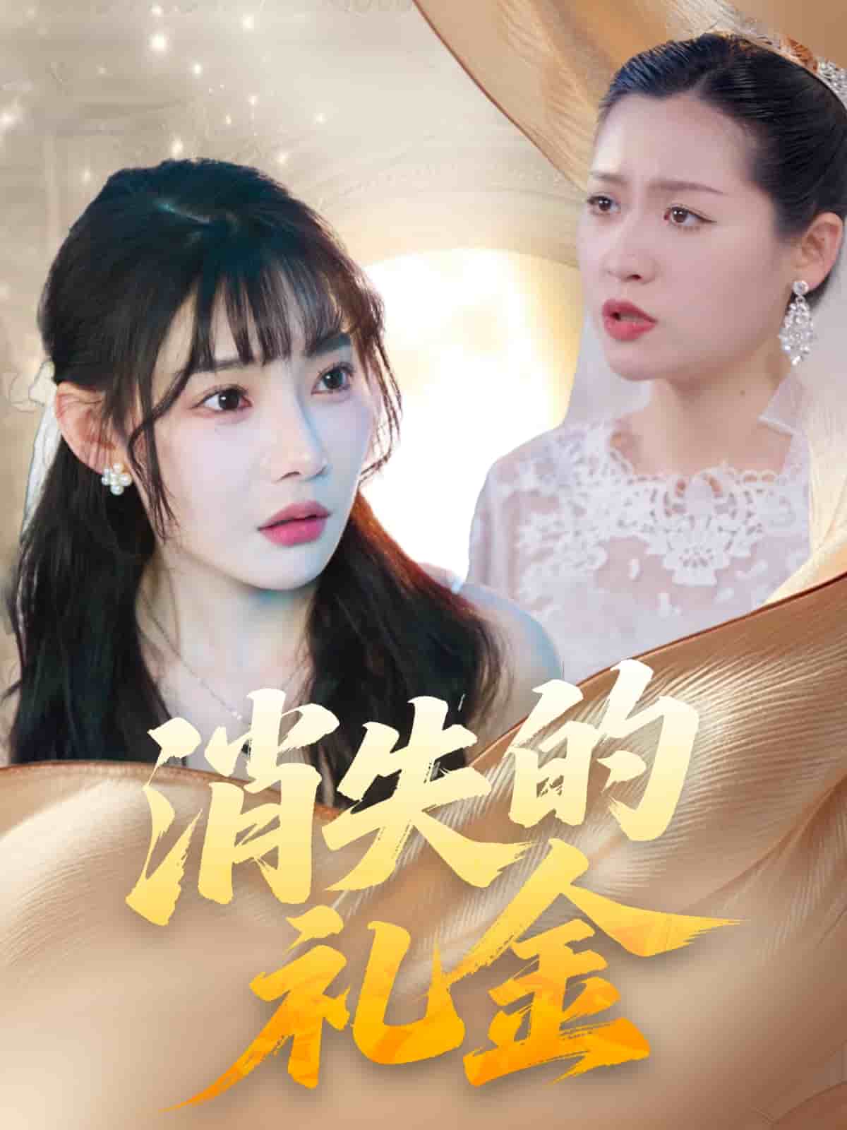 《消失的礼金》完整版在线观看