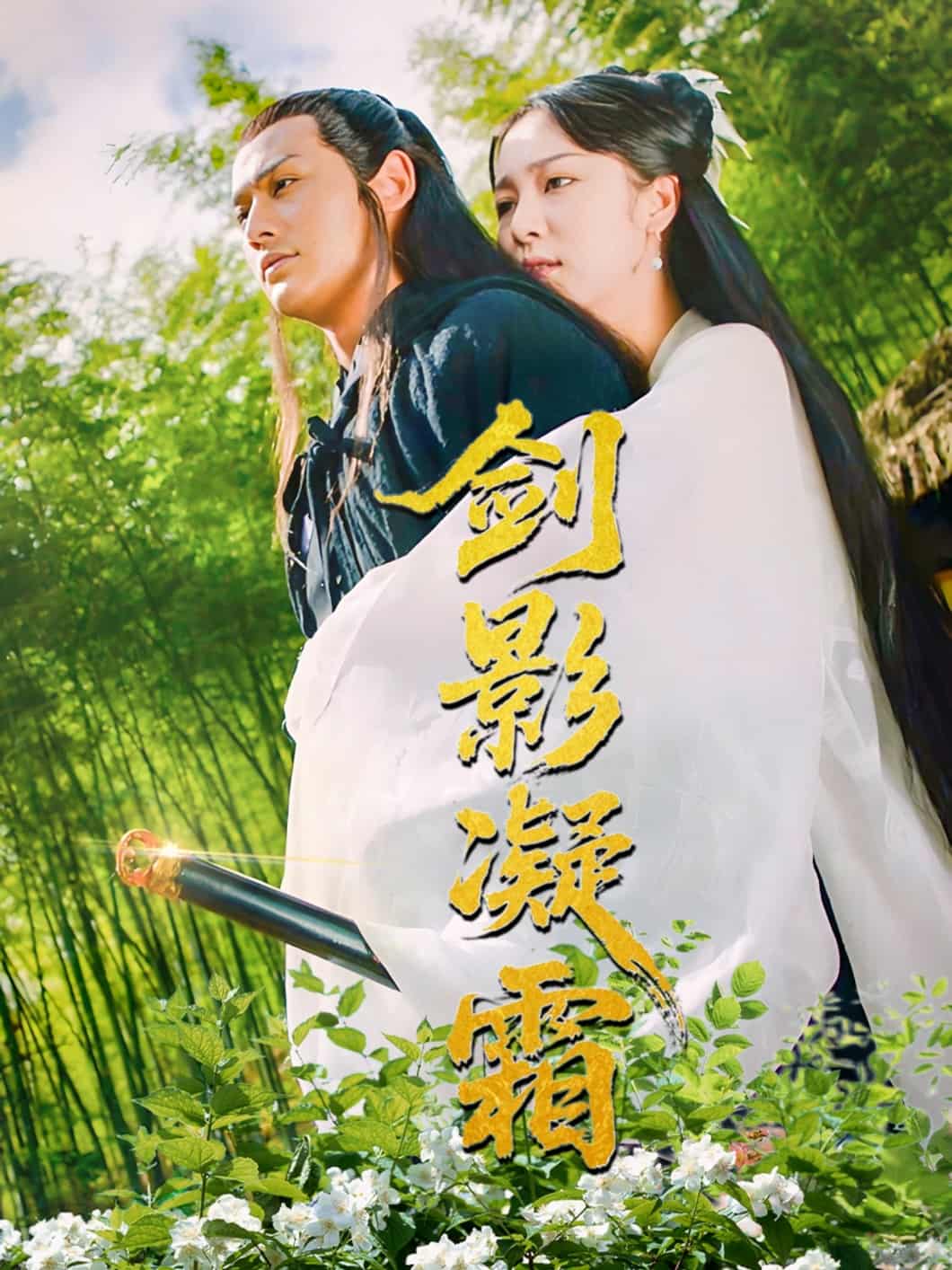 《剑影凝霜》完整版在线观看