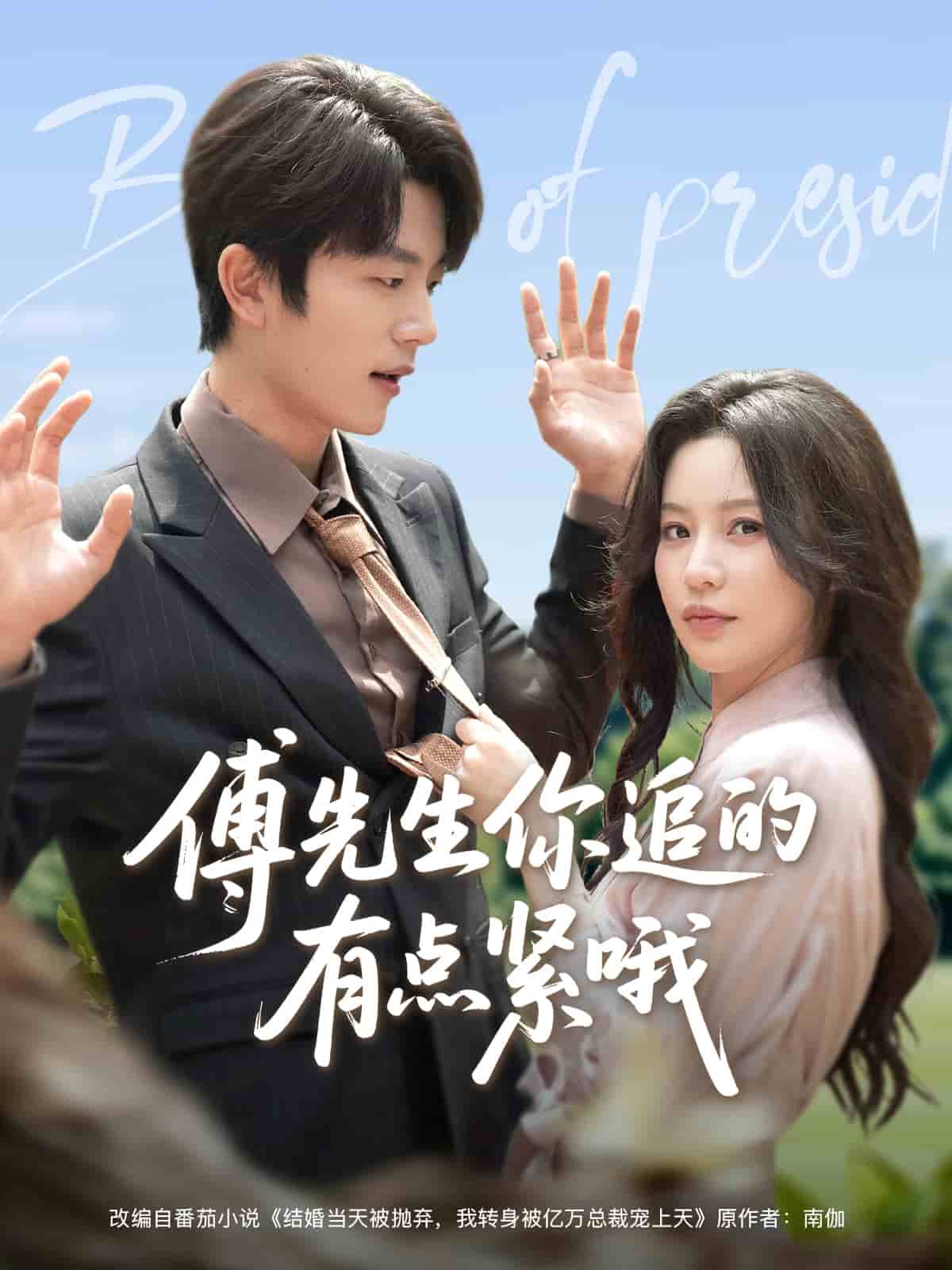 《傅先生你追的有点紧哦》完整版在线观看