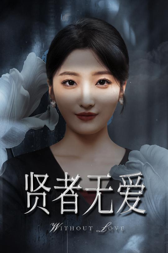 《贤者无爱》完整版在线观看