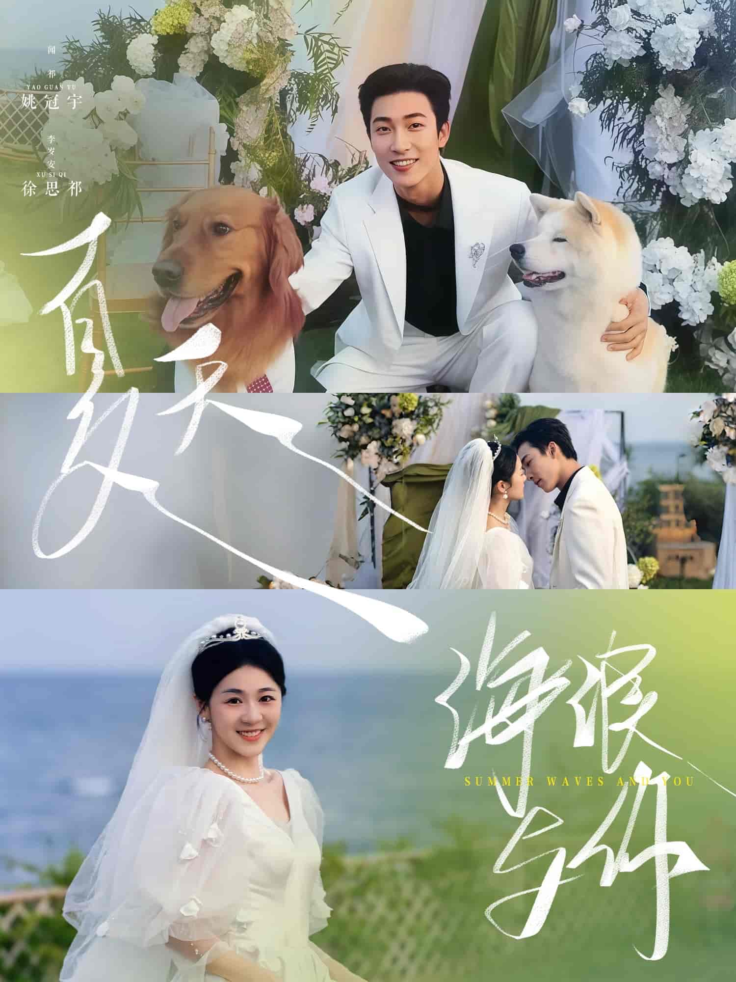 《夏天,海浪与你》完整版在线观看