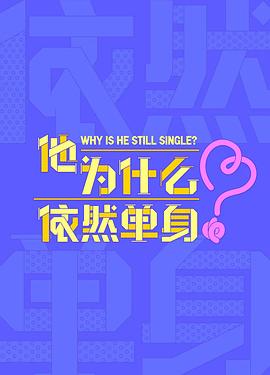 《他为什么依然单身》完整版在线观看