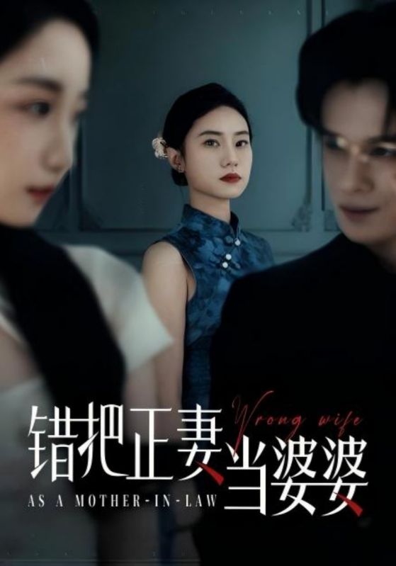《错把正妻当婆婆》完整版在线观看