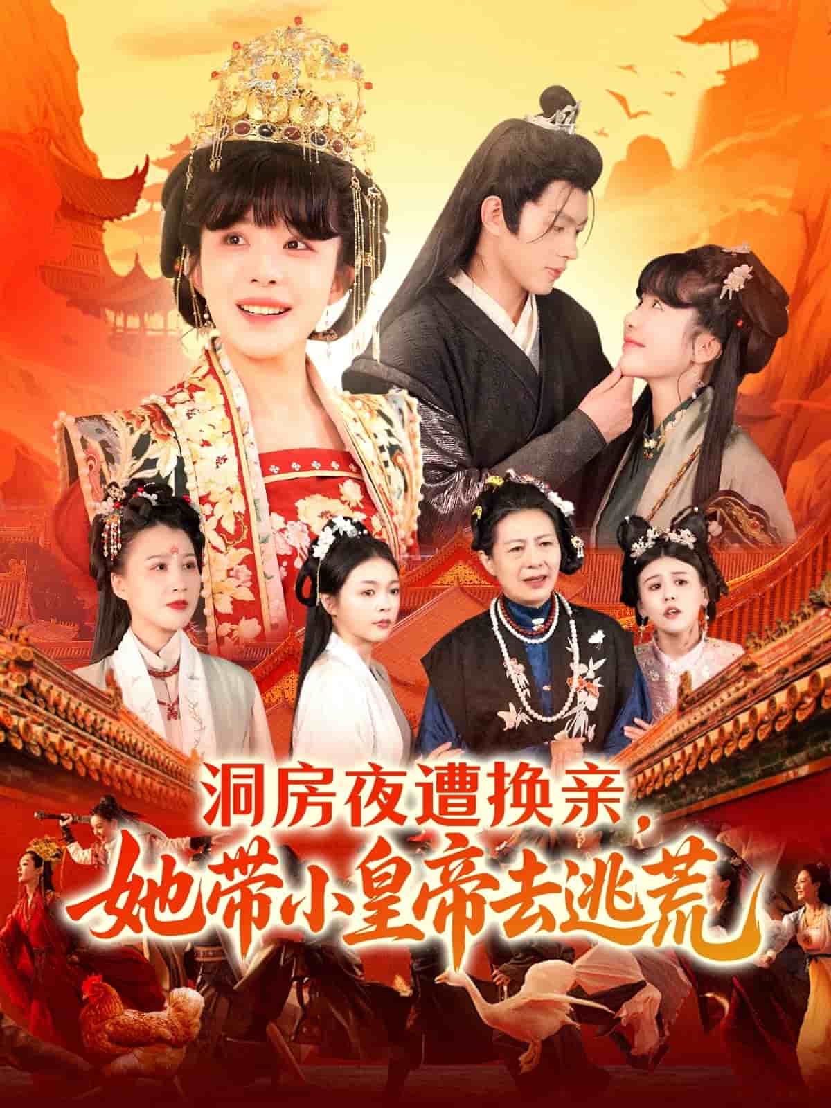 《洞房夜遭换亲，她带小皇帝去逃荒》完整版在线观看