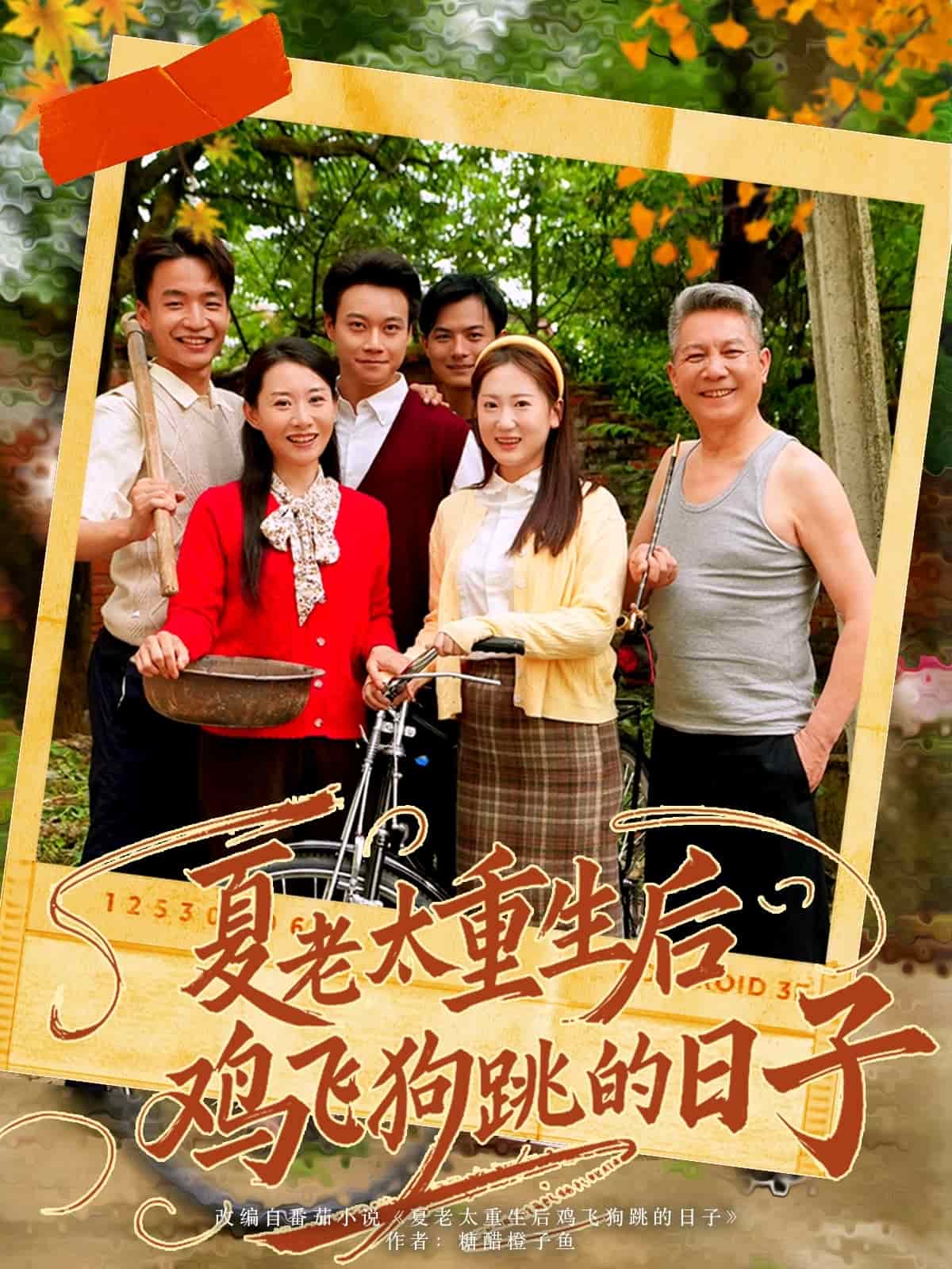 《夏老太重生后鸡飞狗跳的日子》完整版在线观看