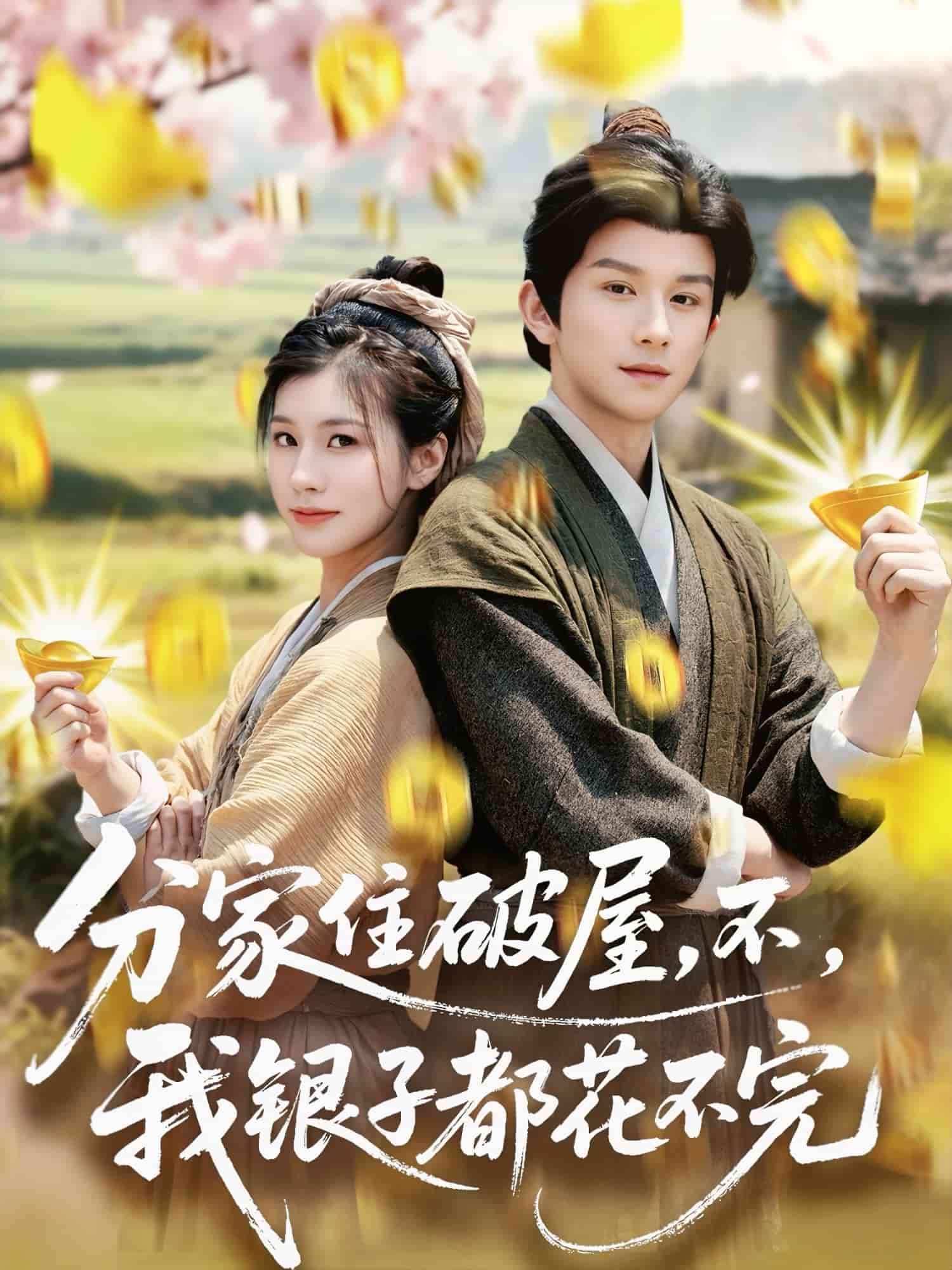 《分家住破屋,不,我银子都花不完》完整版在线观看