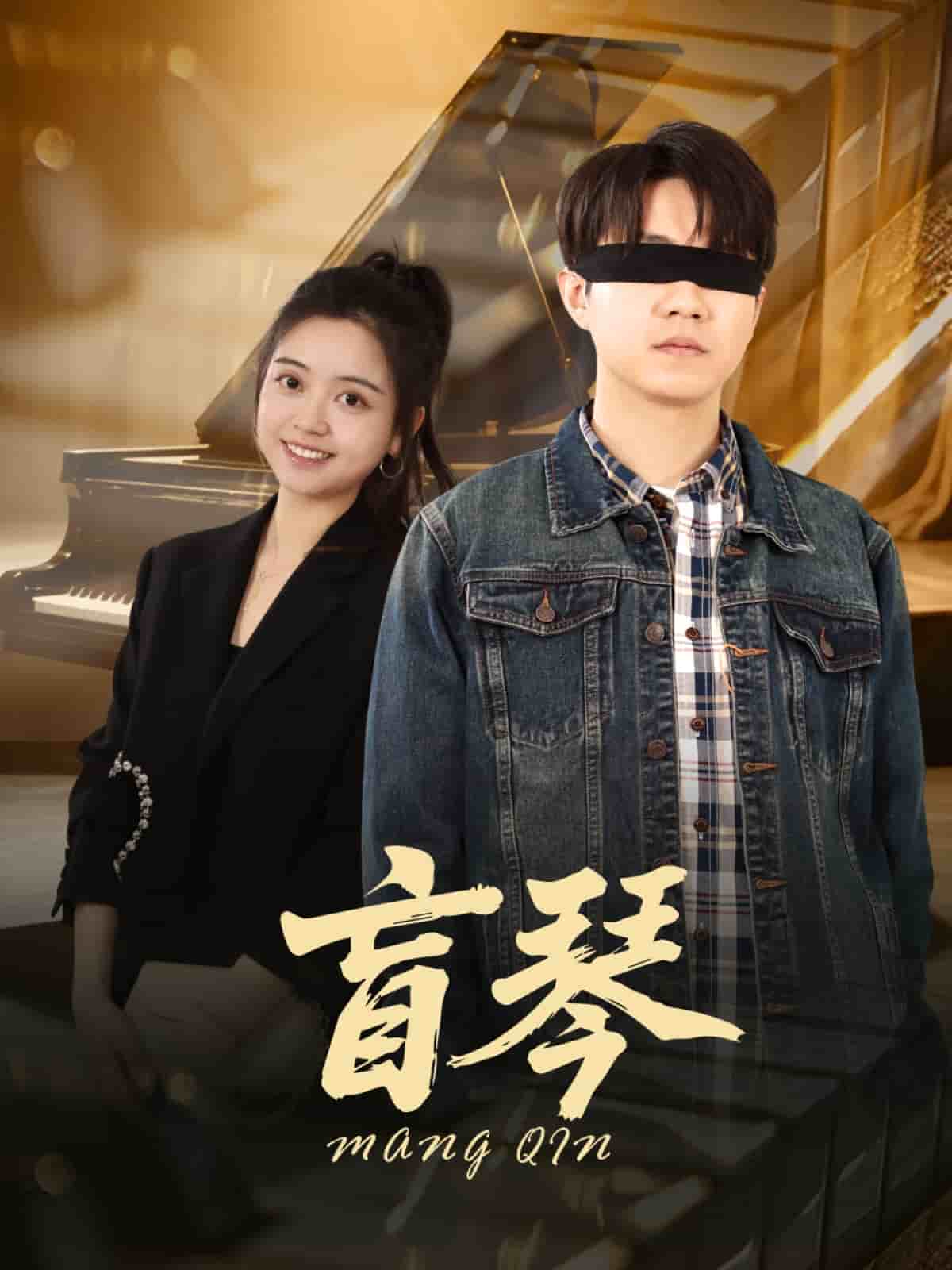 《盲琴》完整版在线观看