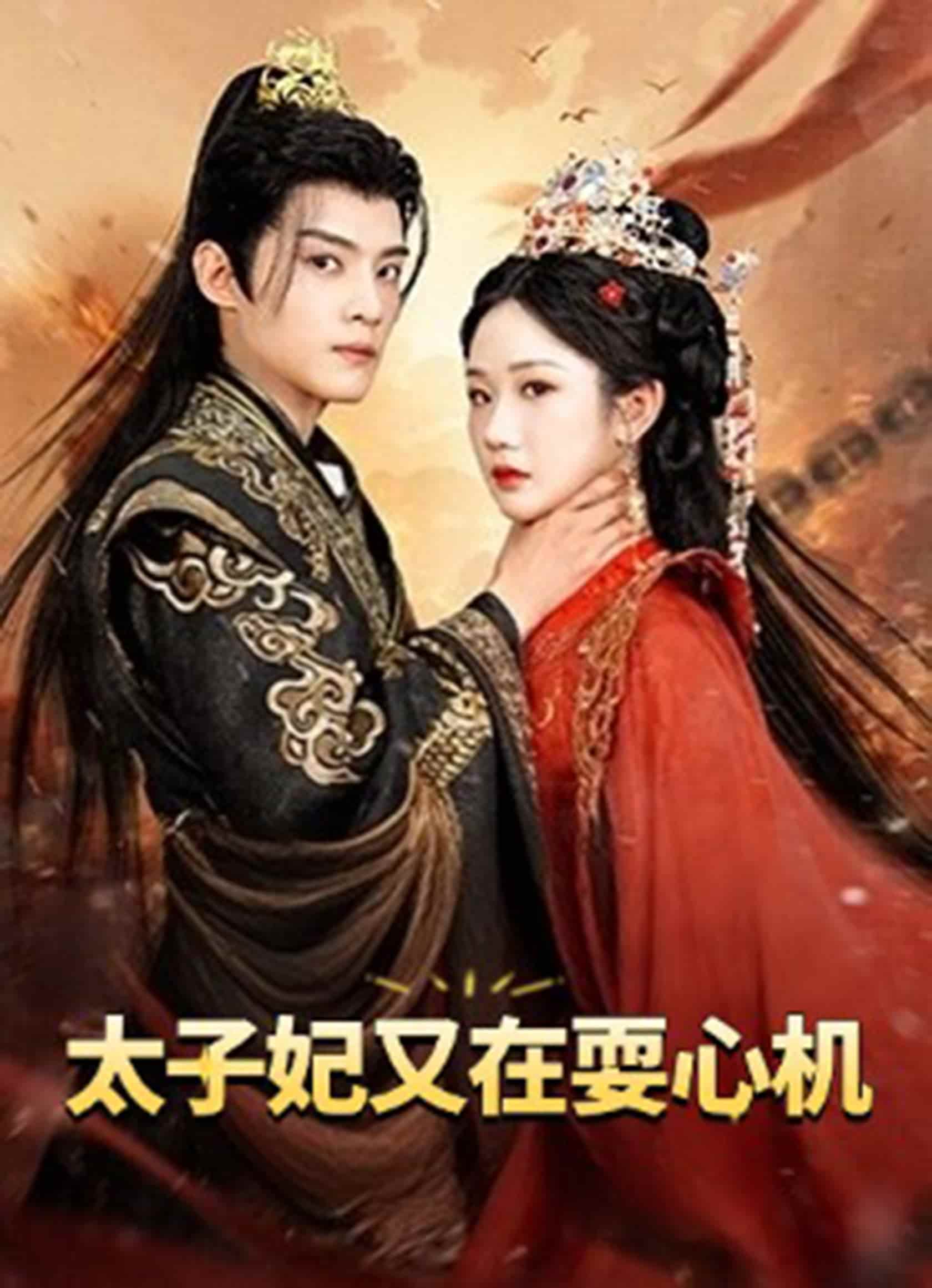 《太子妃又在耍心机》完整版在线观看