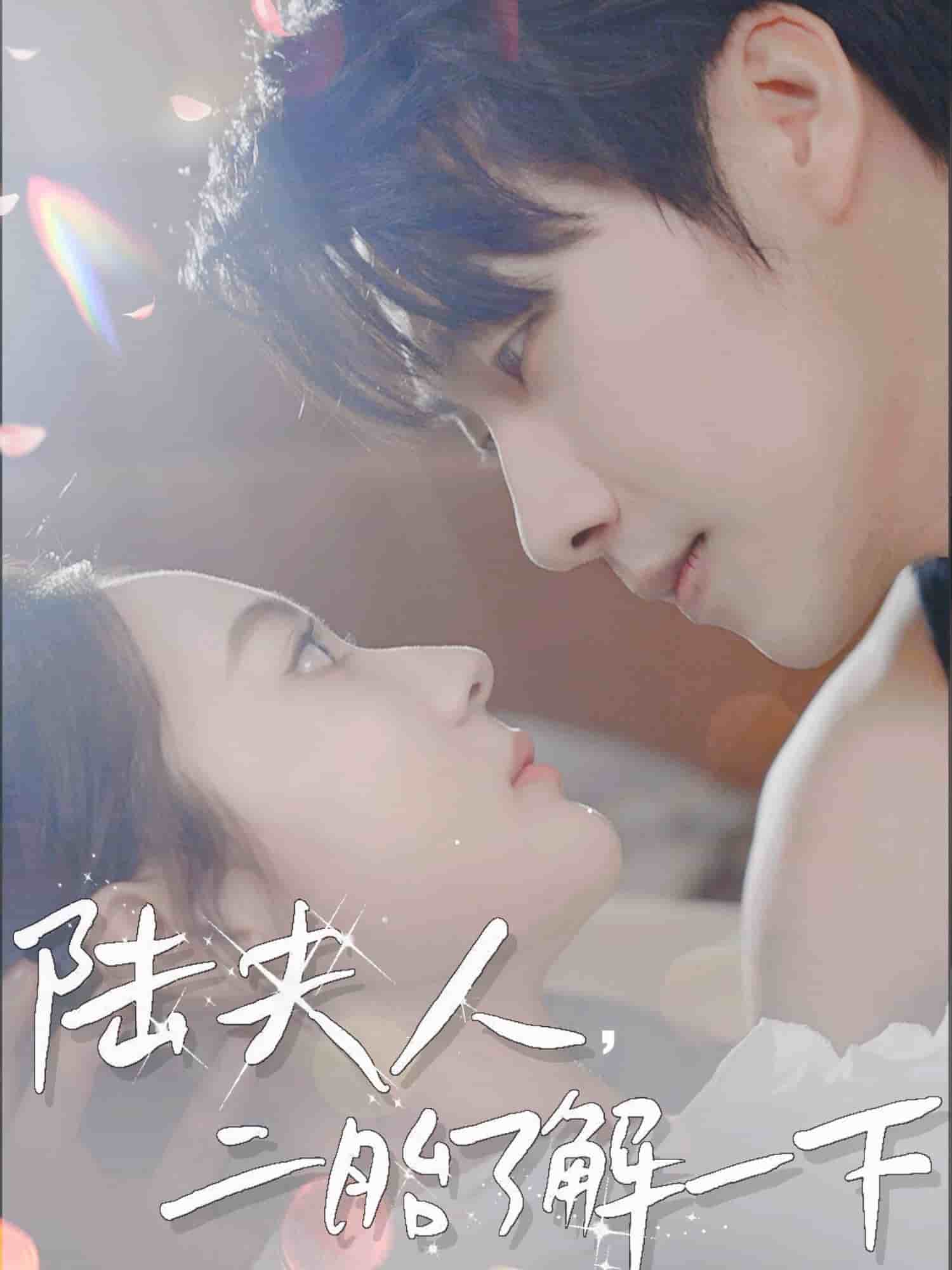 《陆夫人,二胎了解一下》完整版在线观看