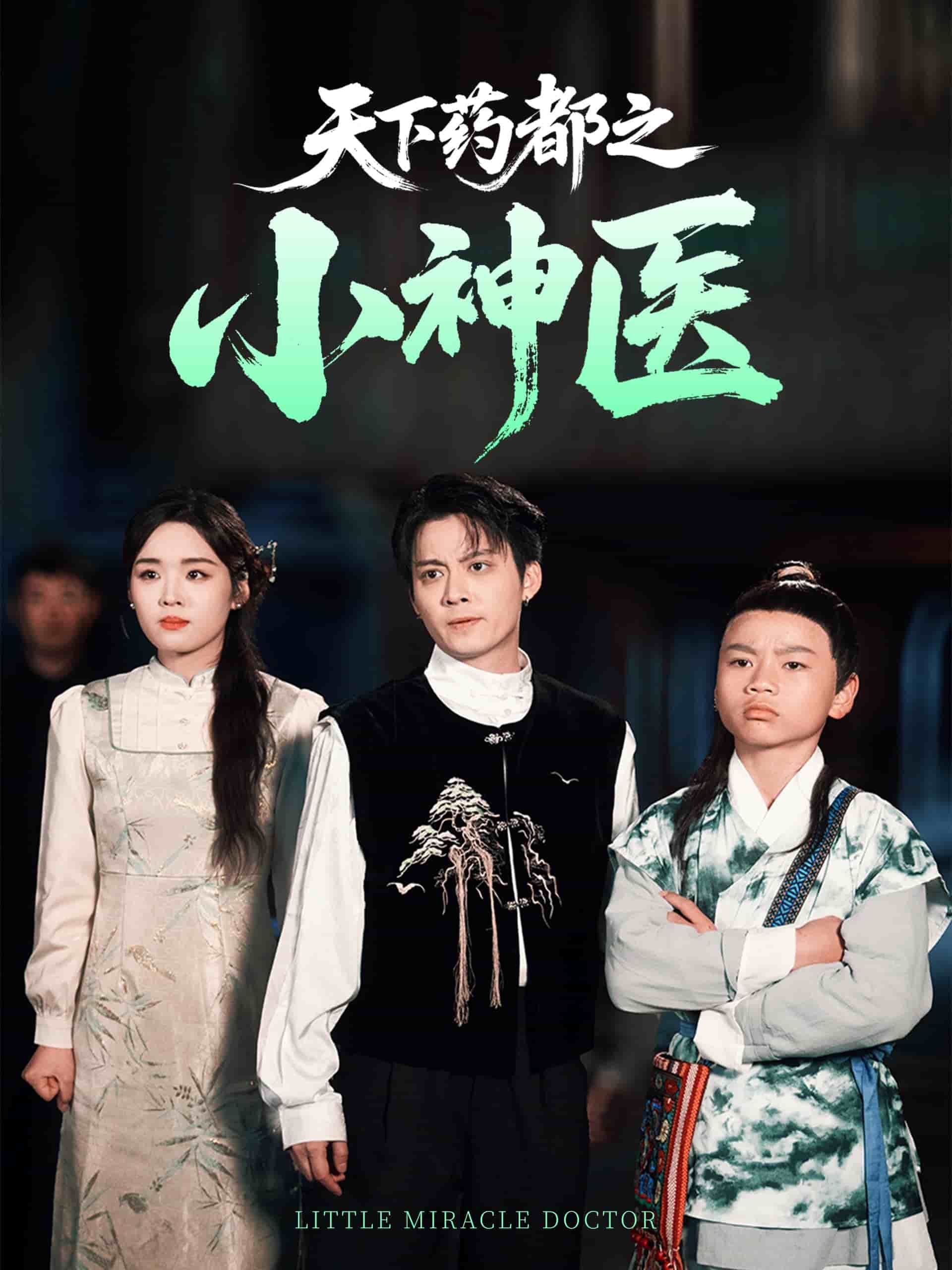 《天下药都之小神医》完整版在线观看