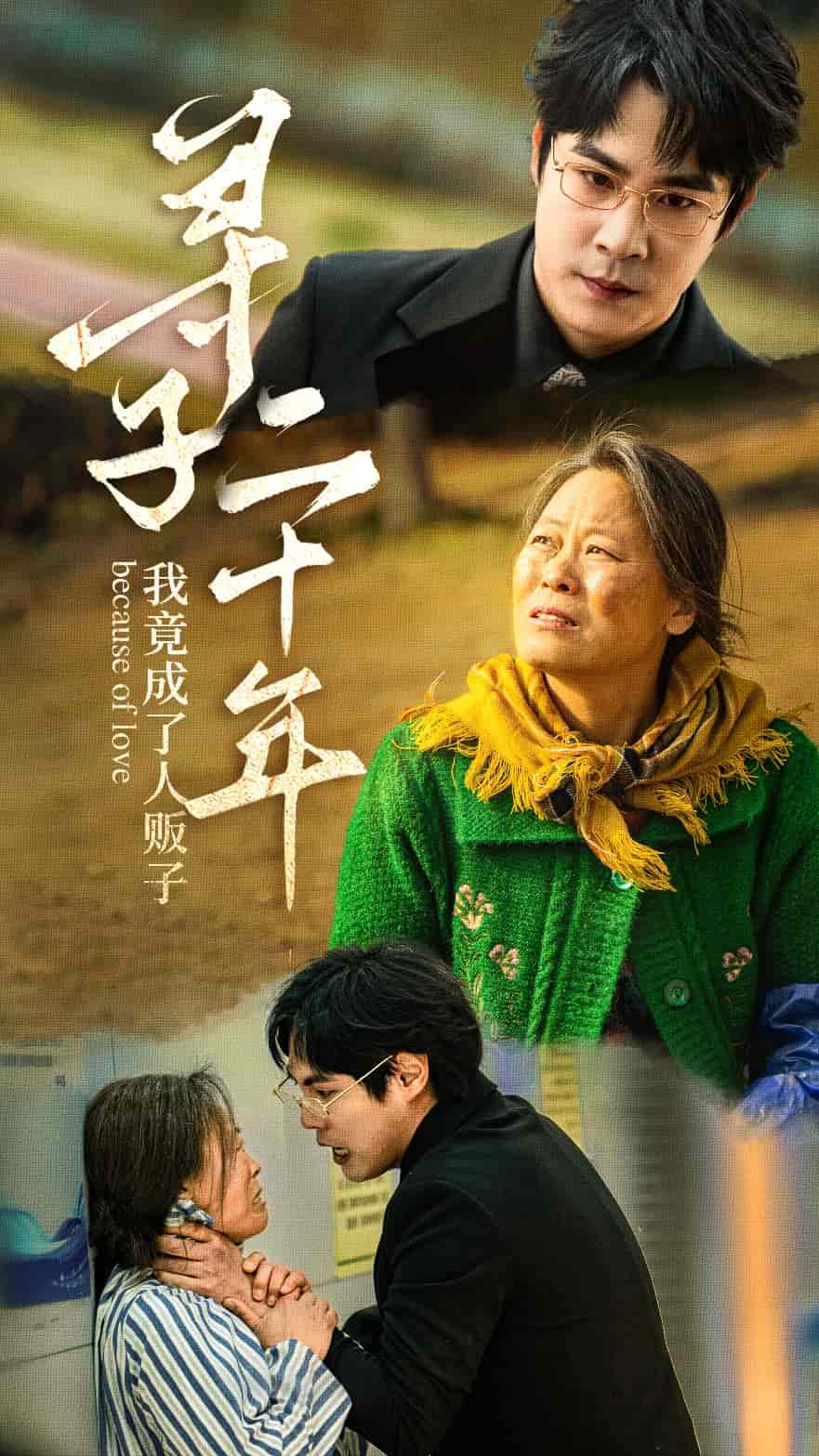 《寻子二十年我竟成了人贩子》完整版在线观看