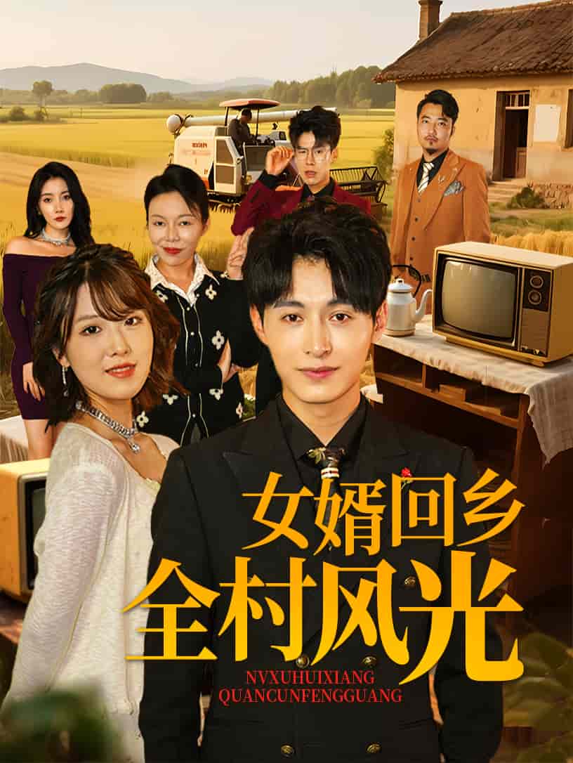《女婿回乡全村风光》完整版在线观看