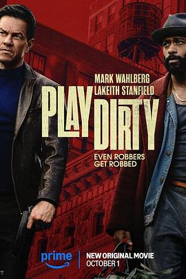 《盗亦有道2025》完整版在线观看