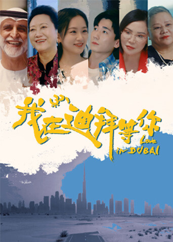 《我在迪拜等你》完整版在线观看