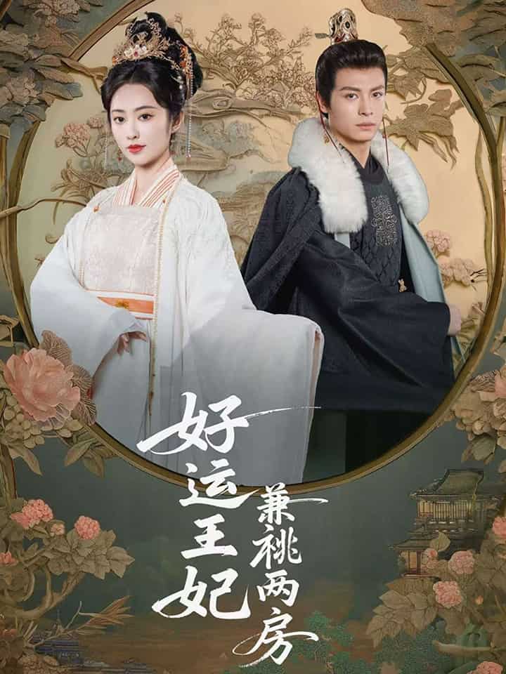 《好运王妃兼祧两房》完整版在线观看
