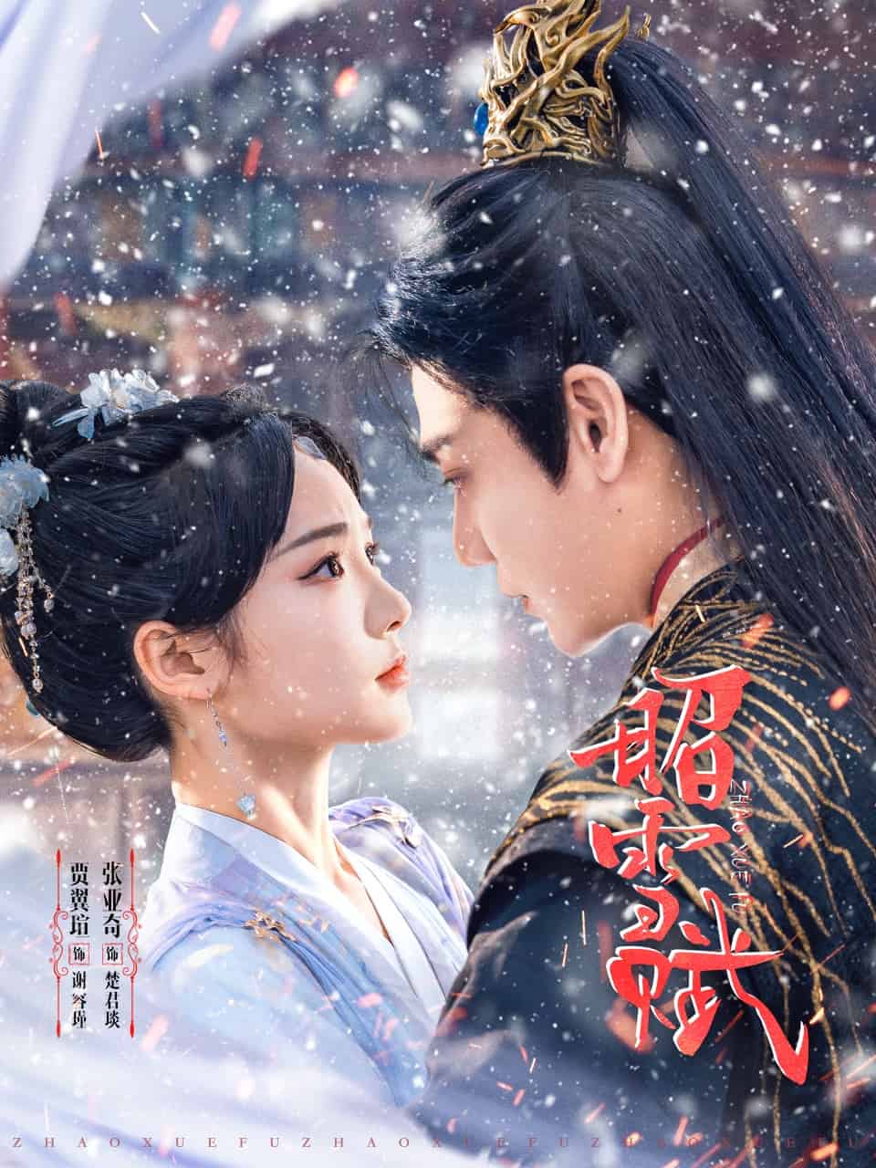 《昭雪赋》完整版在线观看