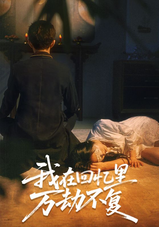 《我在回忆里万劫不复》完整版在线观看