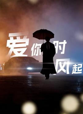 《爱你时风起》完整版在线观看