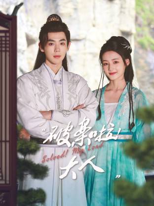 《破案啦！大人》完整版在线观看