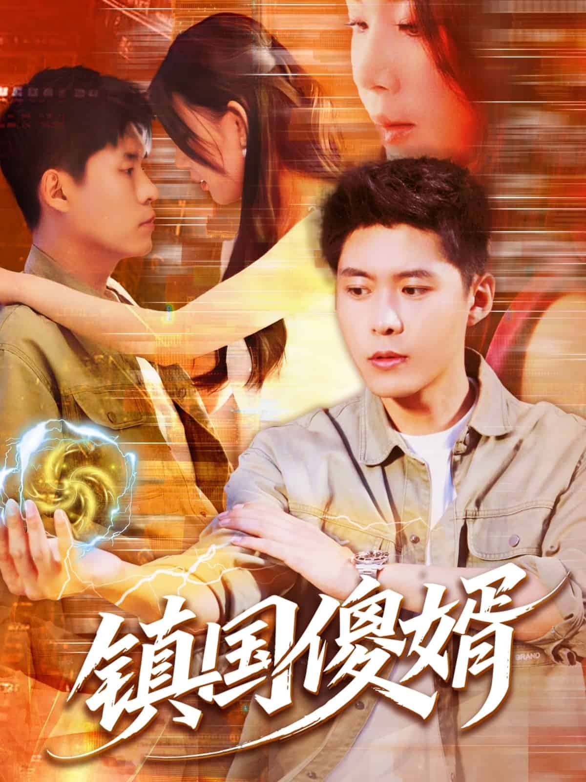 《镇国傻婿》完整版在线观看