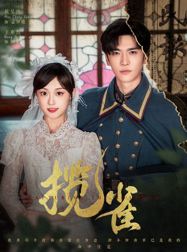 《揽雀》完整版在线观看