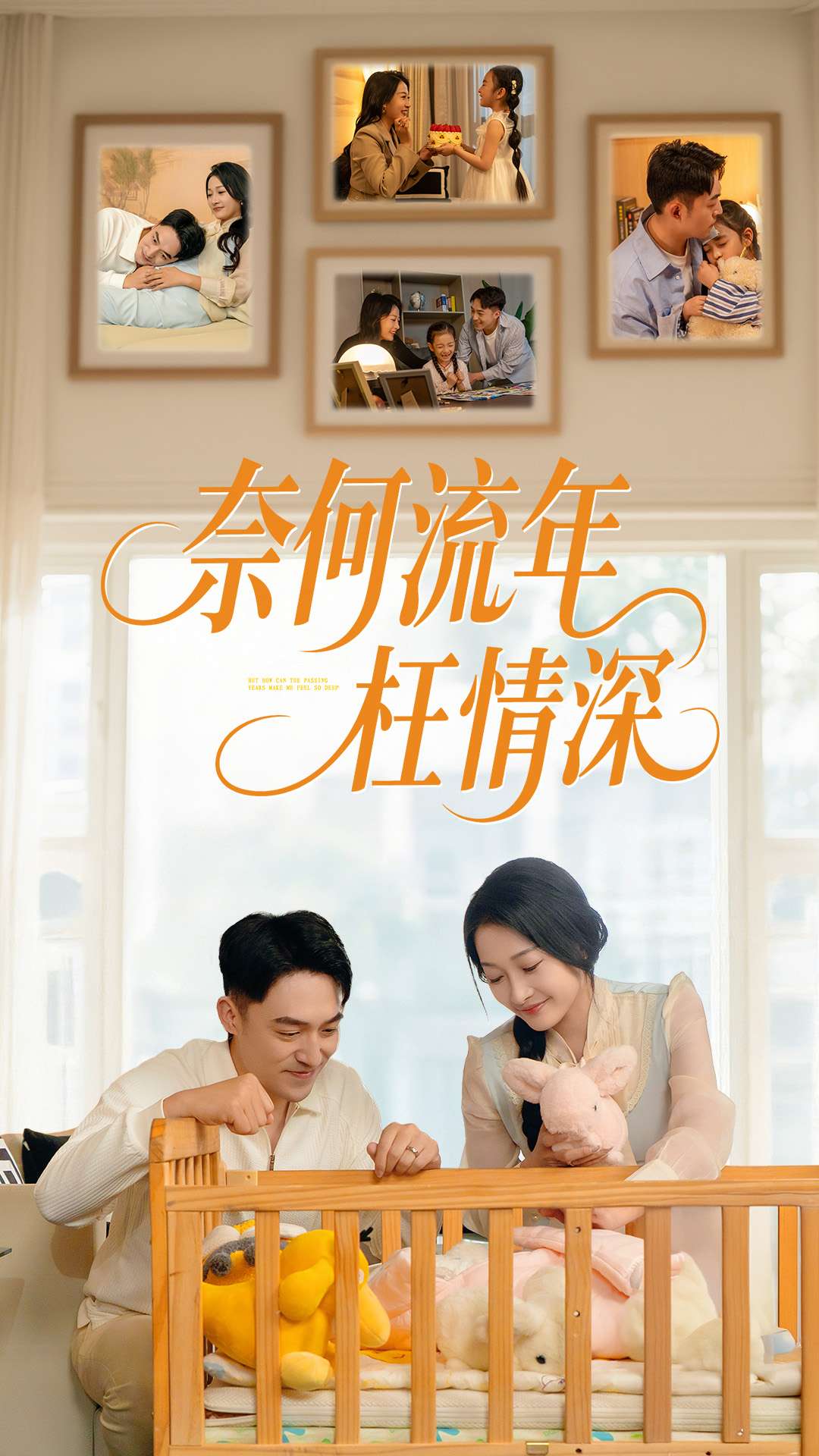 《奈何流年枉情深》完整版在线观看