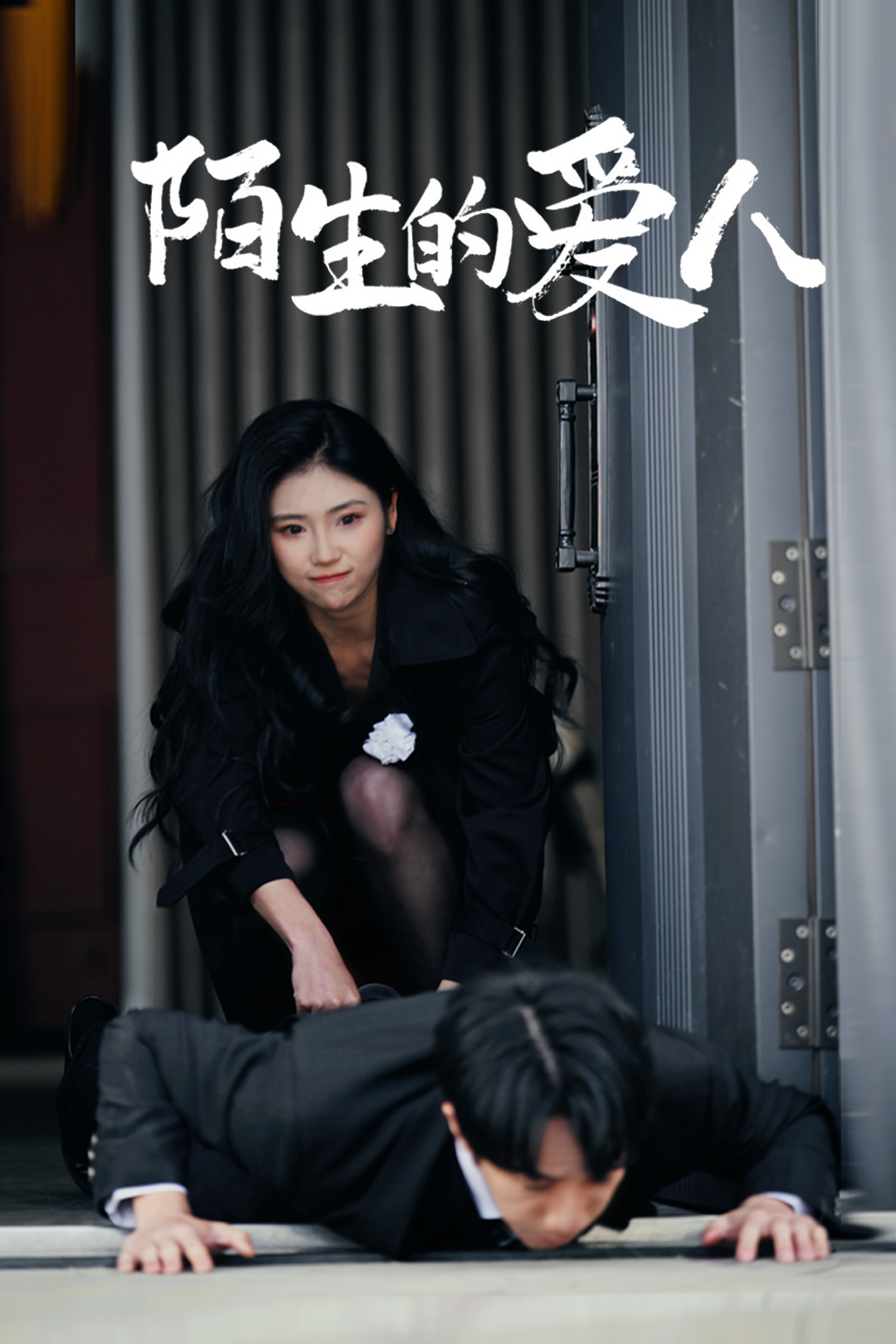 《陌生的爱人》完整版在线观看