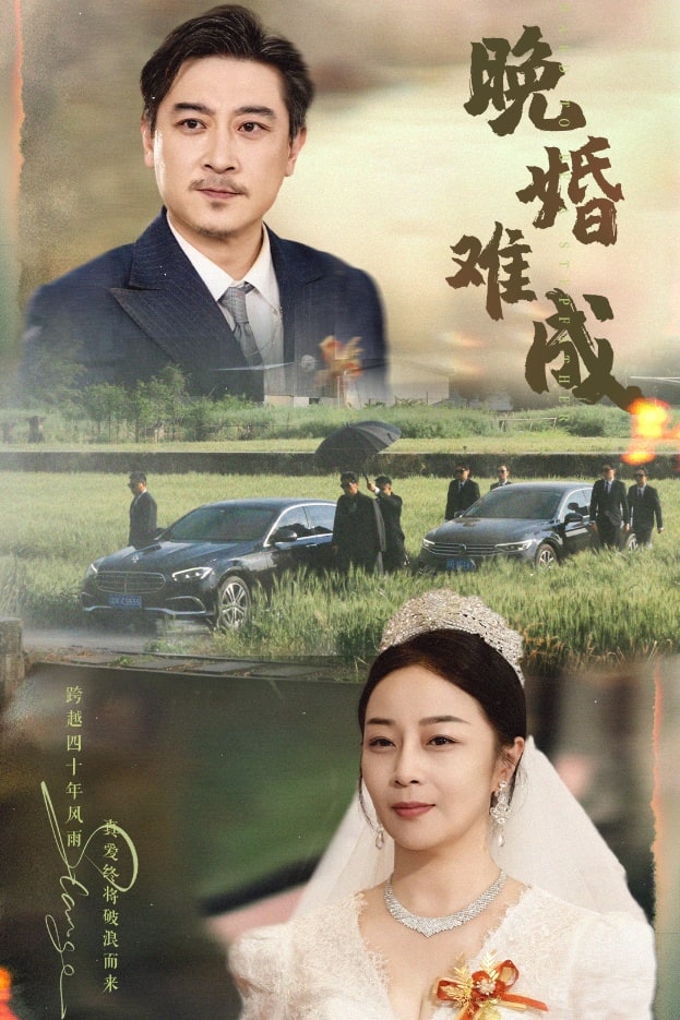 《晚婚难成》完整版在线观看