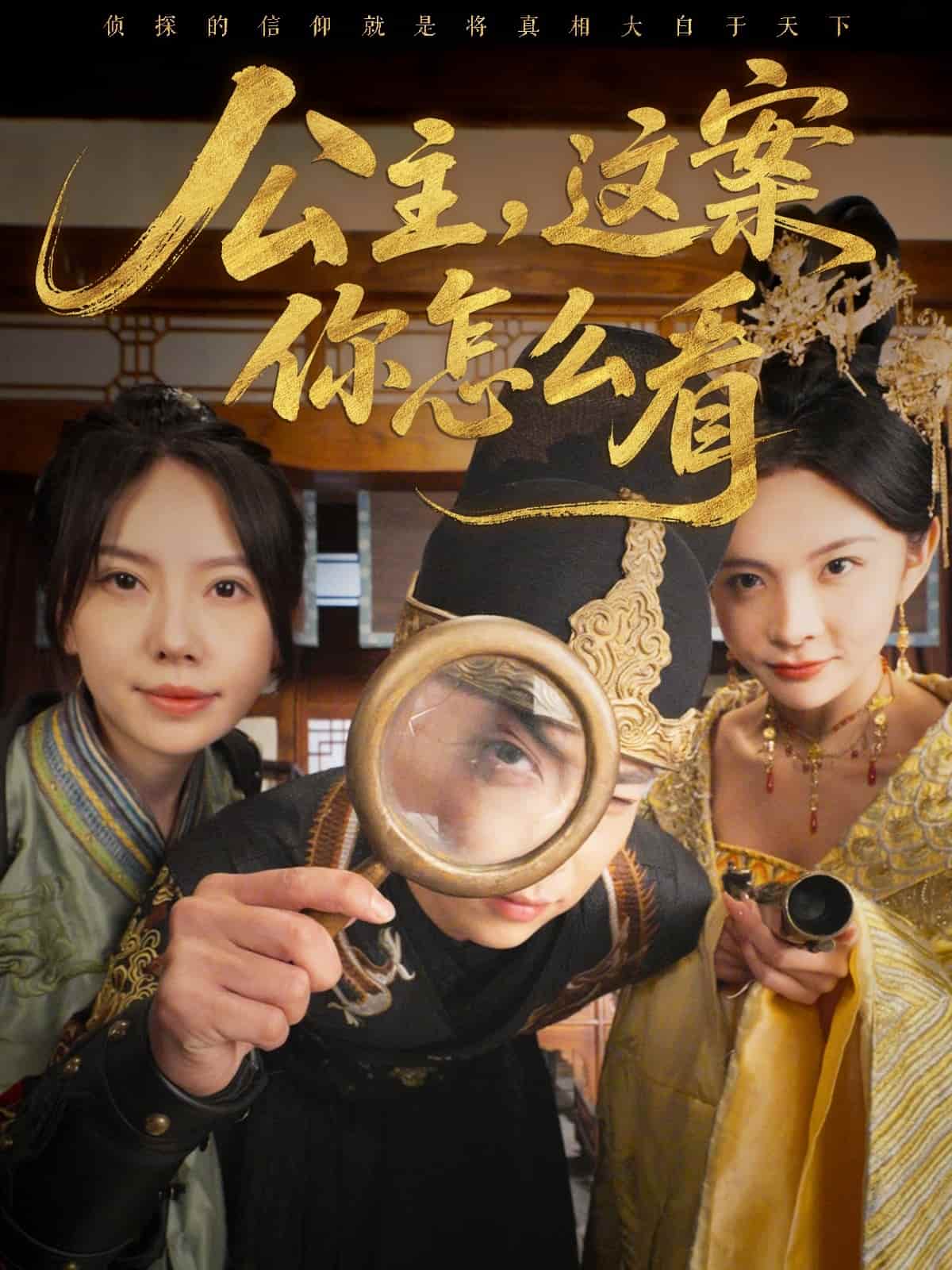 《公主，这案你怎么看》完整版在线观看