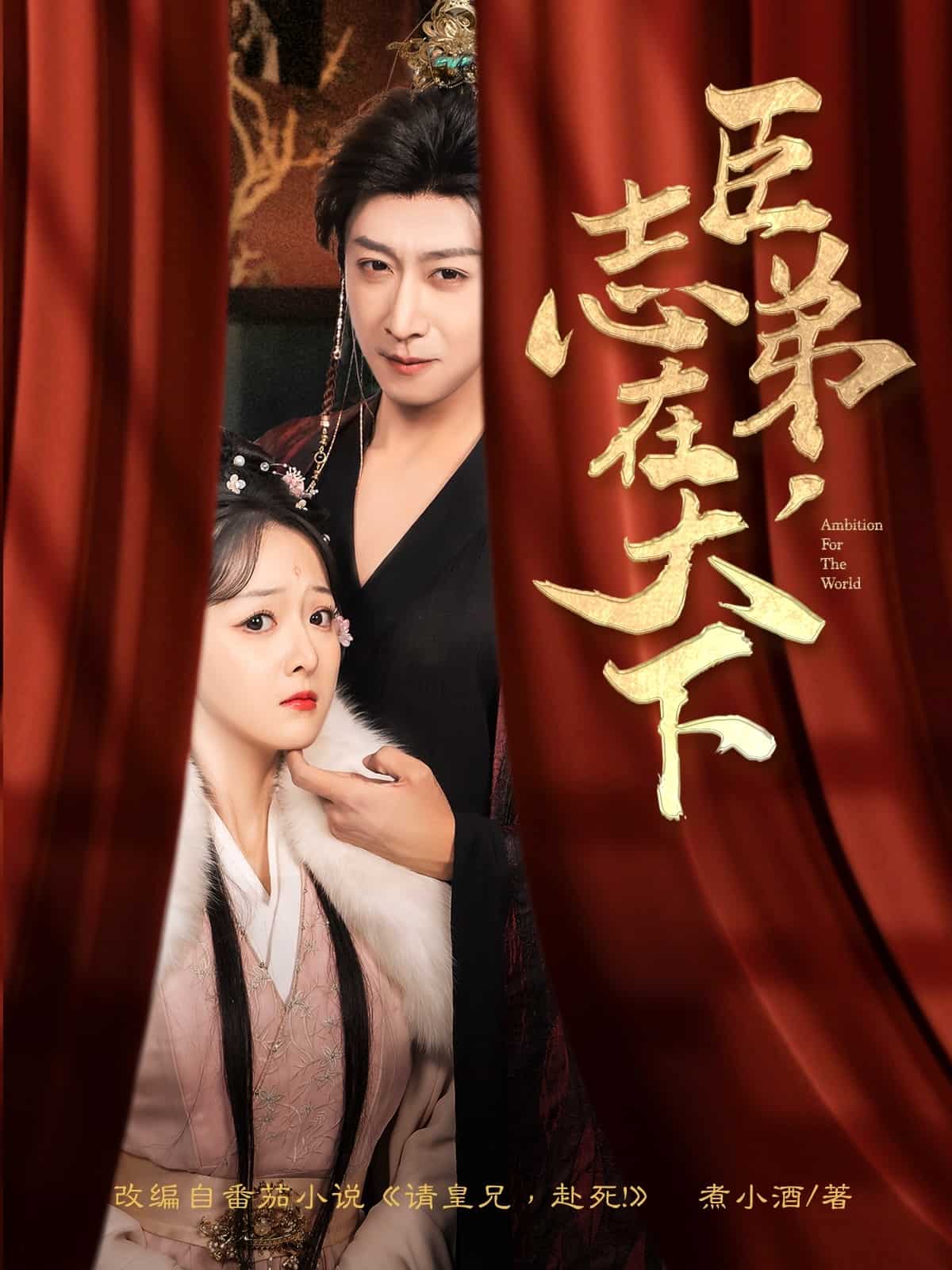 《臣弟,志在天下》完整版在线观看