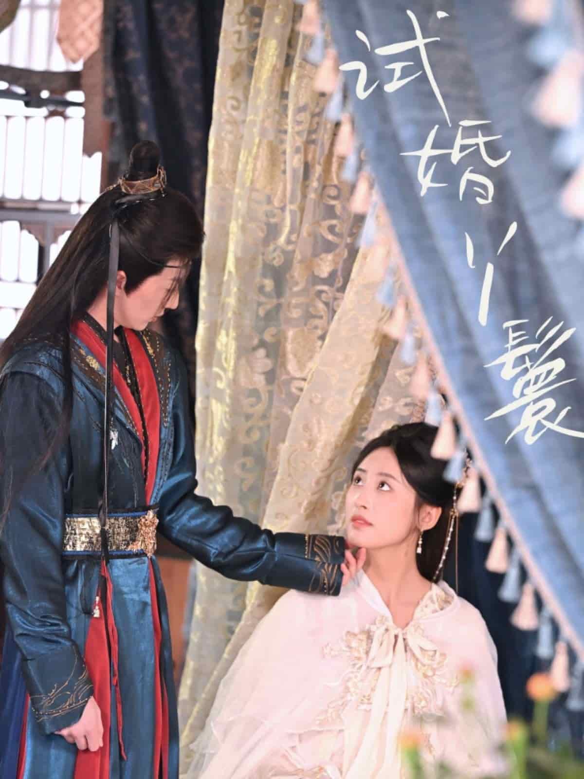 《试婚丫鬟》完整版在线观看