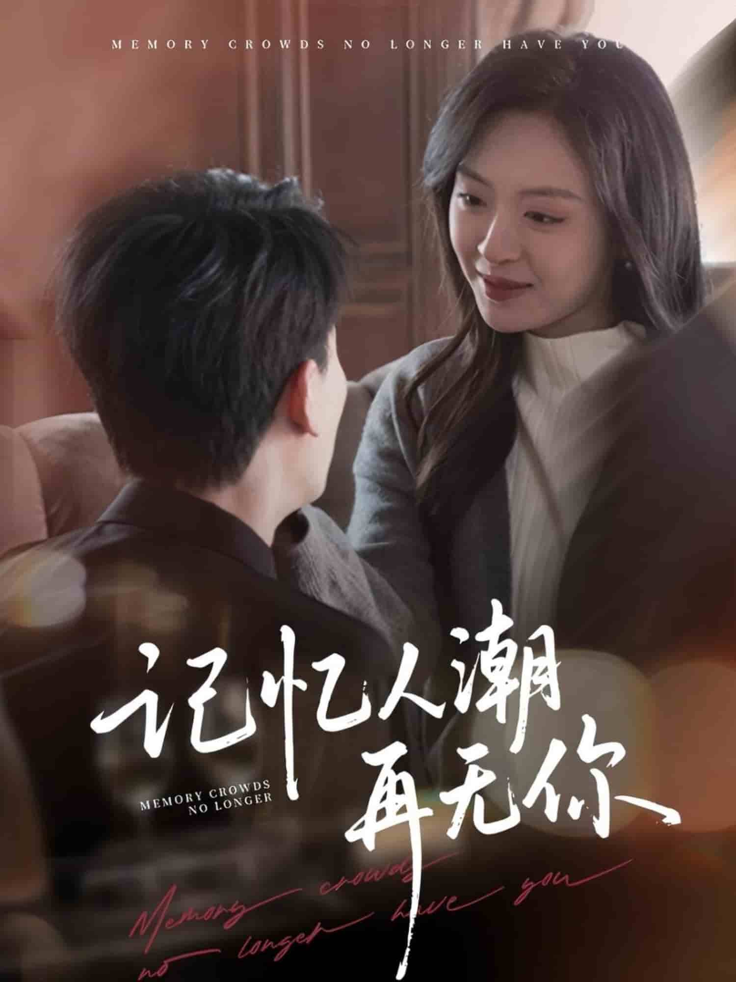 《记忆人潮再无你》完整版在线观看