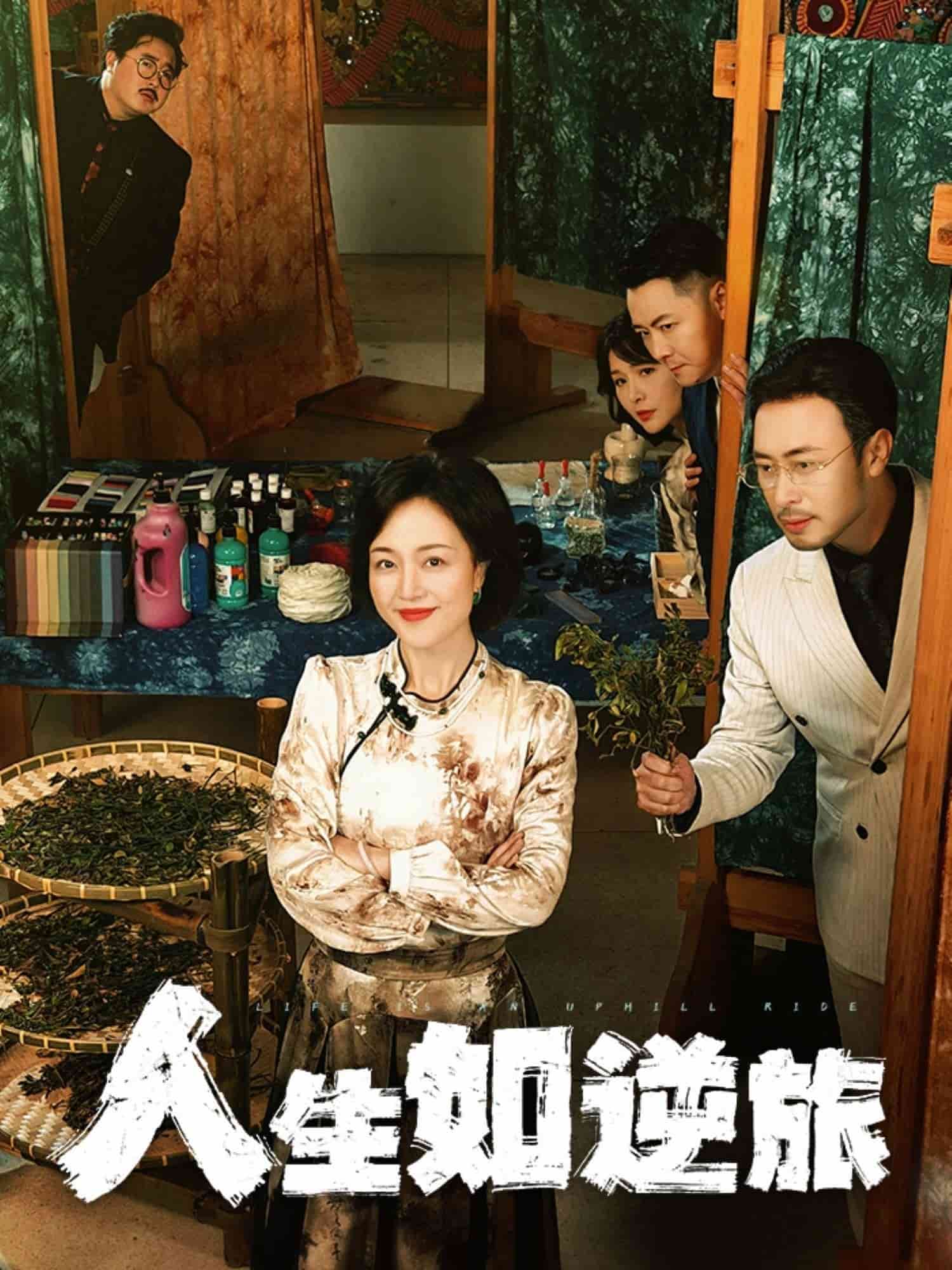 《人生如逆旅》完整版在线观看