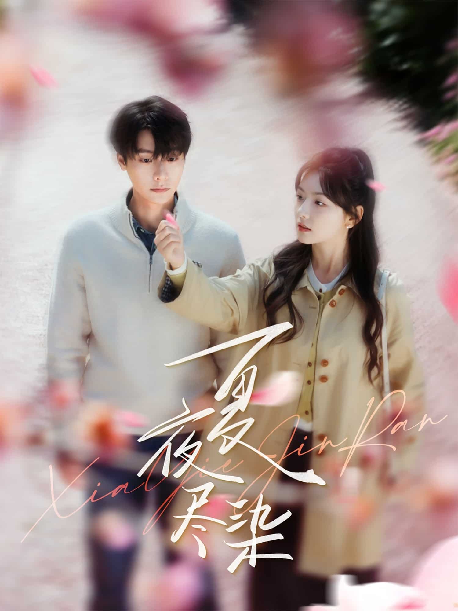 《夏夜尽染》完整版在线观看