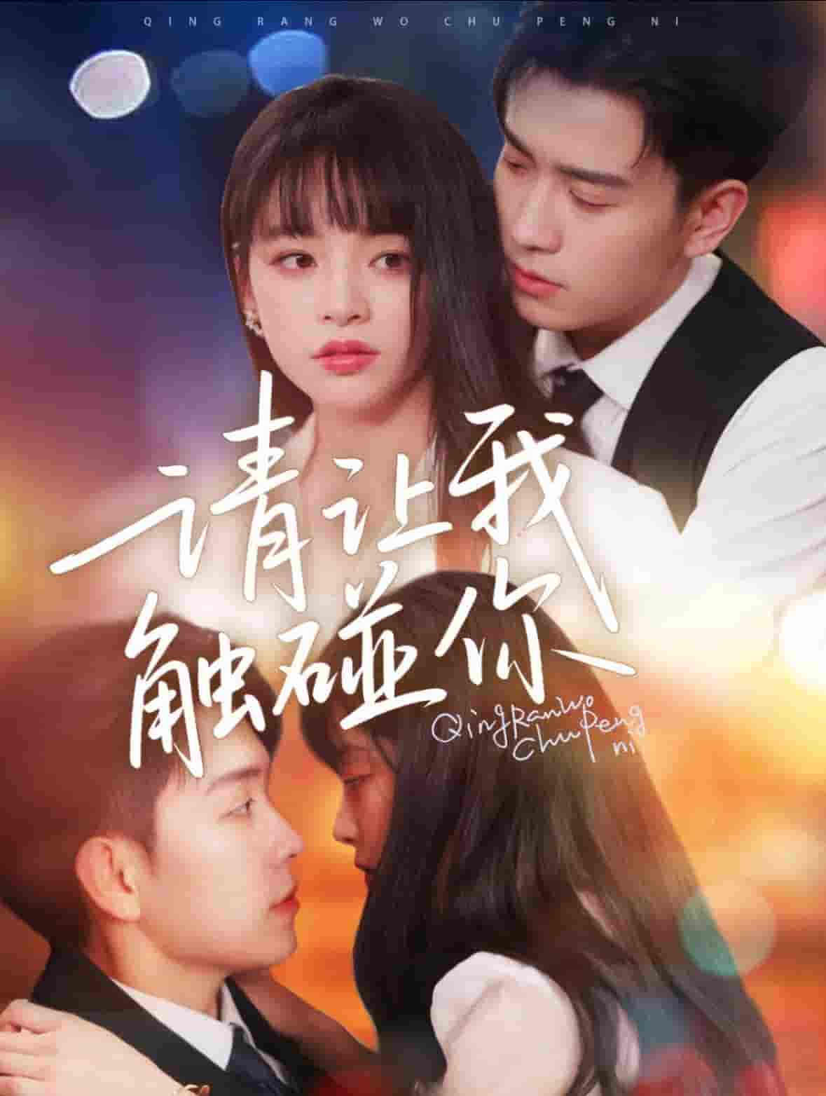 《请让我触碰你》完整版在线观看