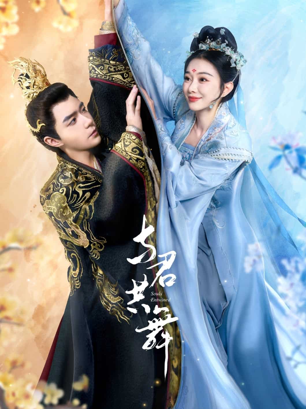 《与君共舞》完整版在线观看