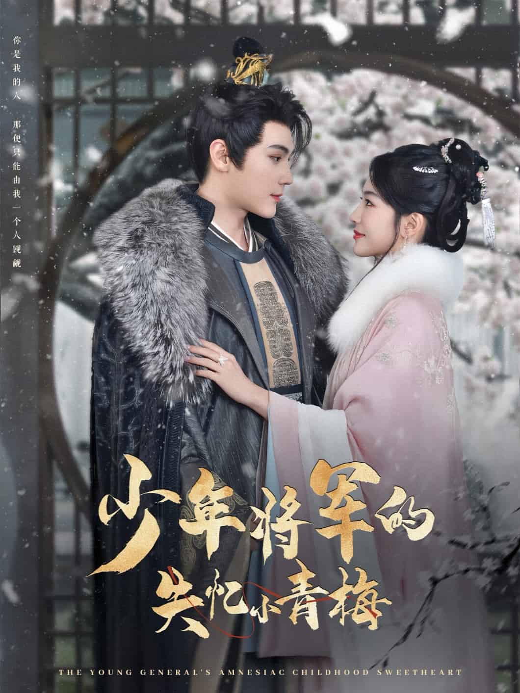 《少年将军的失忆小青梅》完整版在线观看