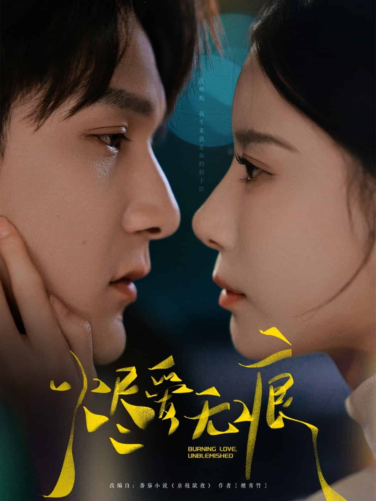 《烬爱无痕》完整版在线观看