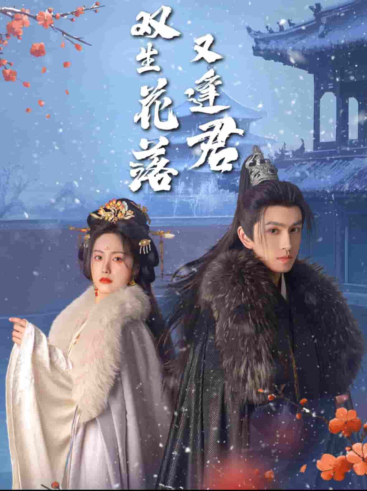 《双生花落又逢君》完整版在线观看