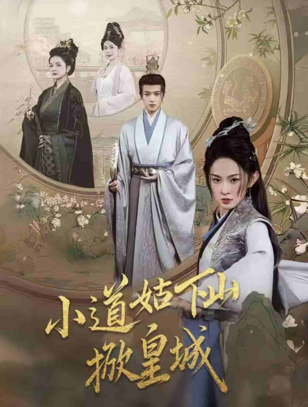 《小道姑下山掀皇城》完整版在线观看