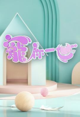 《宠你一世粤语》完整版在线观看