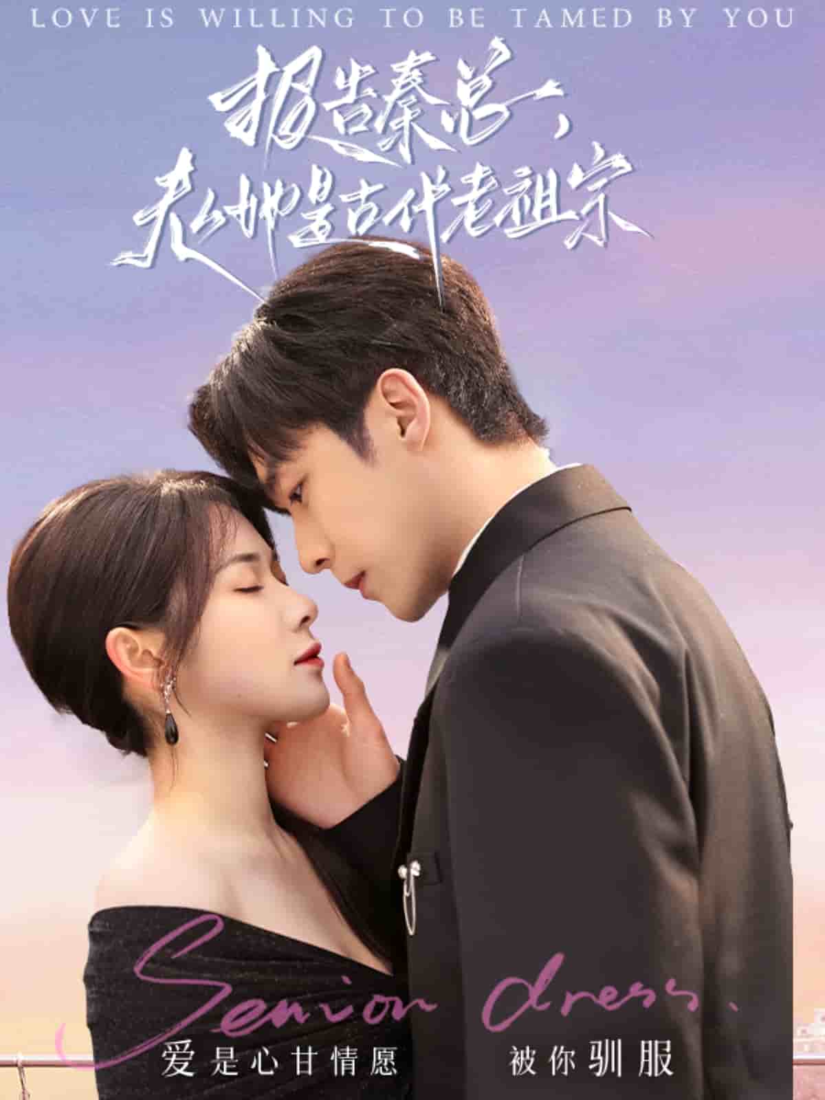 《报告秦总,夫人她是古代老祖宗》完整版在线观看