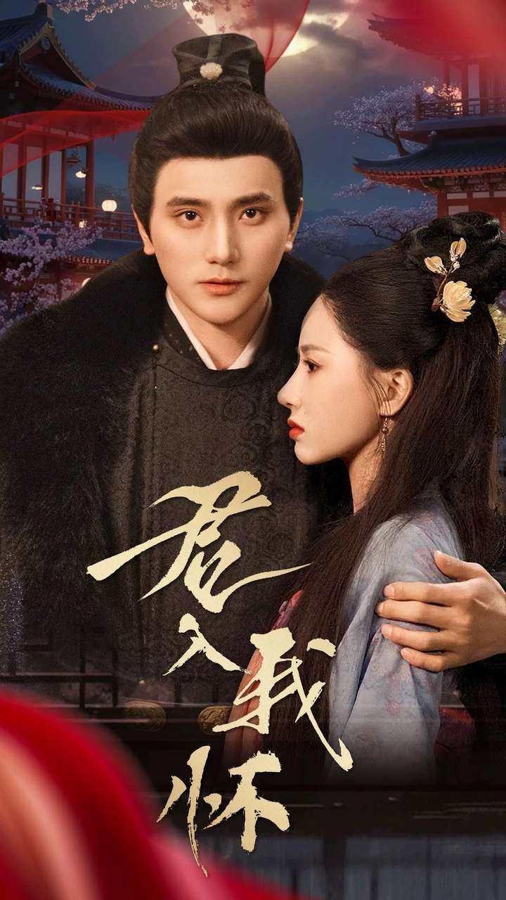 《君入我怀》完整版在线观看