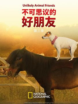 《不可思议的好朋友第三季》完整版在线观看