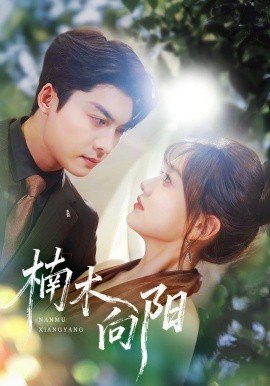 《楠木向阳》完整版在线观看