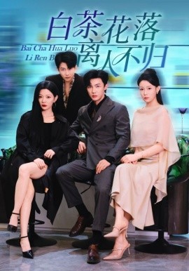 《白茶花落离人》完整版在线观看