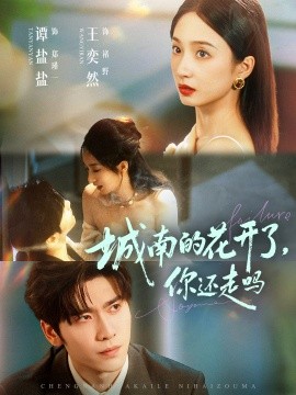 《城南的花开了，你还走吗》完整版在线观看