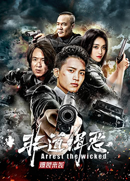 《非道缉恶》完整版在线观看