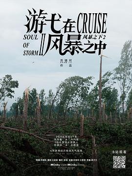 《游弋在风暴之中》完整版在线观看